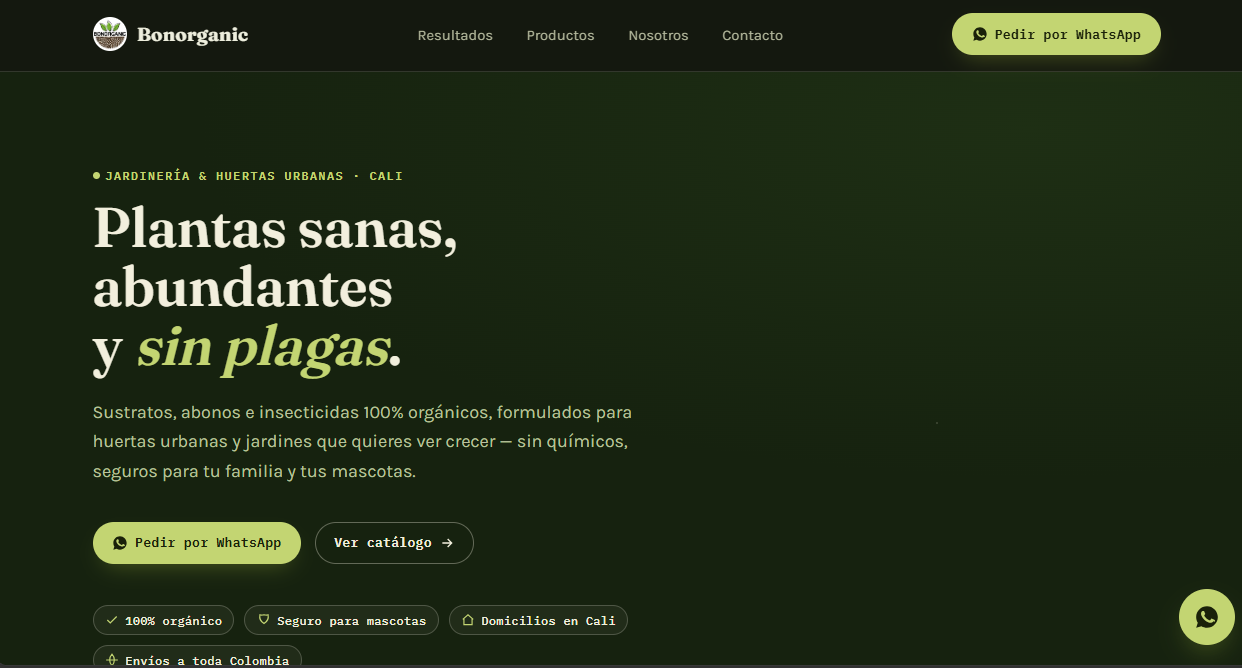 Creacion Web